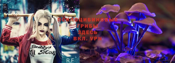 метадон Абаза