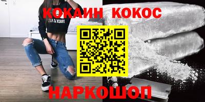крисы Новодвинск