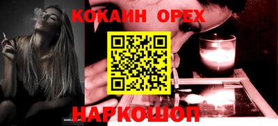 крисы Новодвинск