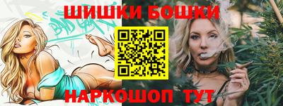 крисы Новодвинск