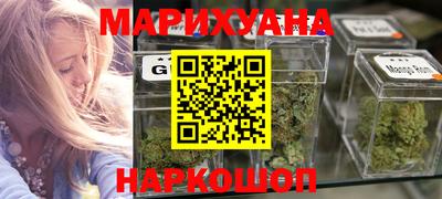 крисы Новодвинск