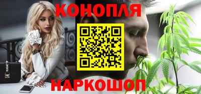 крисы Новодвинск