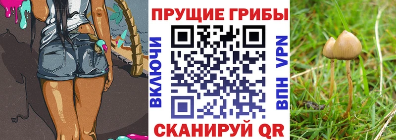Псилоцибиновые грибы Magic Shrooms Благодарный