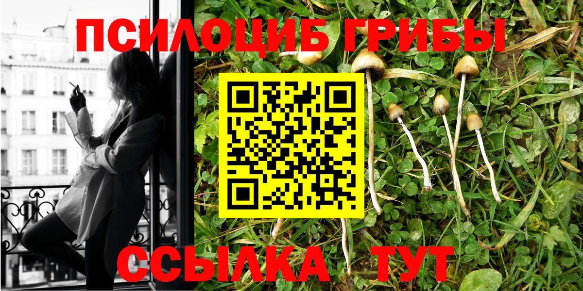 Псилоцибиновые грибы Psilocybe Благодарный