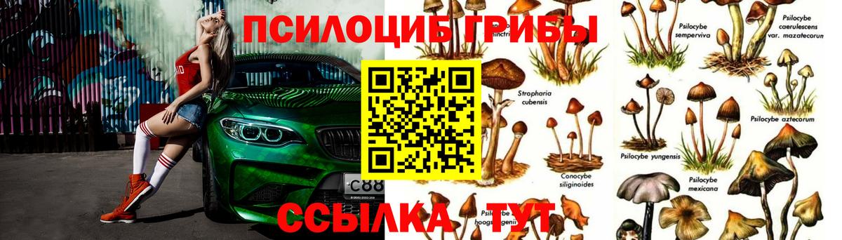 где купить наркотик  Вход с VPN  Псилоцибиновые грибы Magic Shrooms  Благодарный  Псилоцибиновые грибы ЛСД 