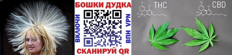 купить закладку  hydra ONION  Шишки марихуана Amnesia  Благодарный 